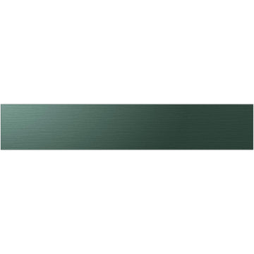 Samsung Bespoke Door Panel - Emerald Green Steel RA-F36DMMQG/AA
